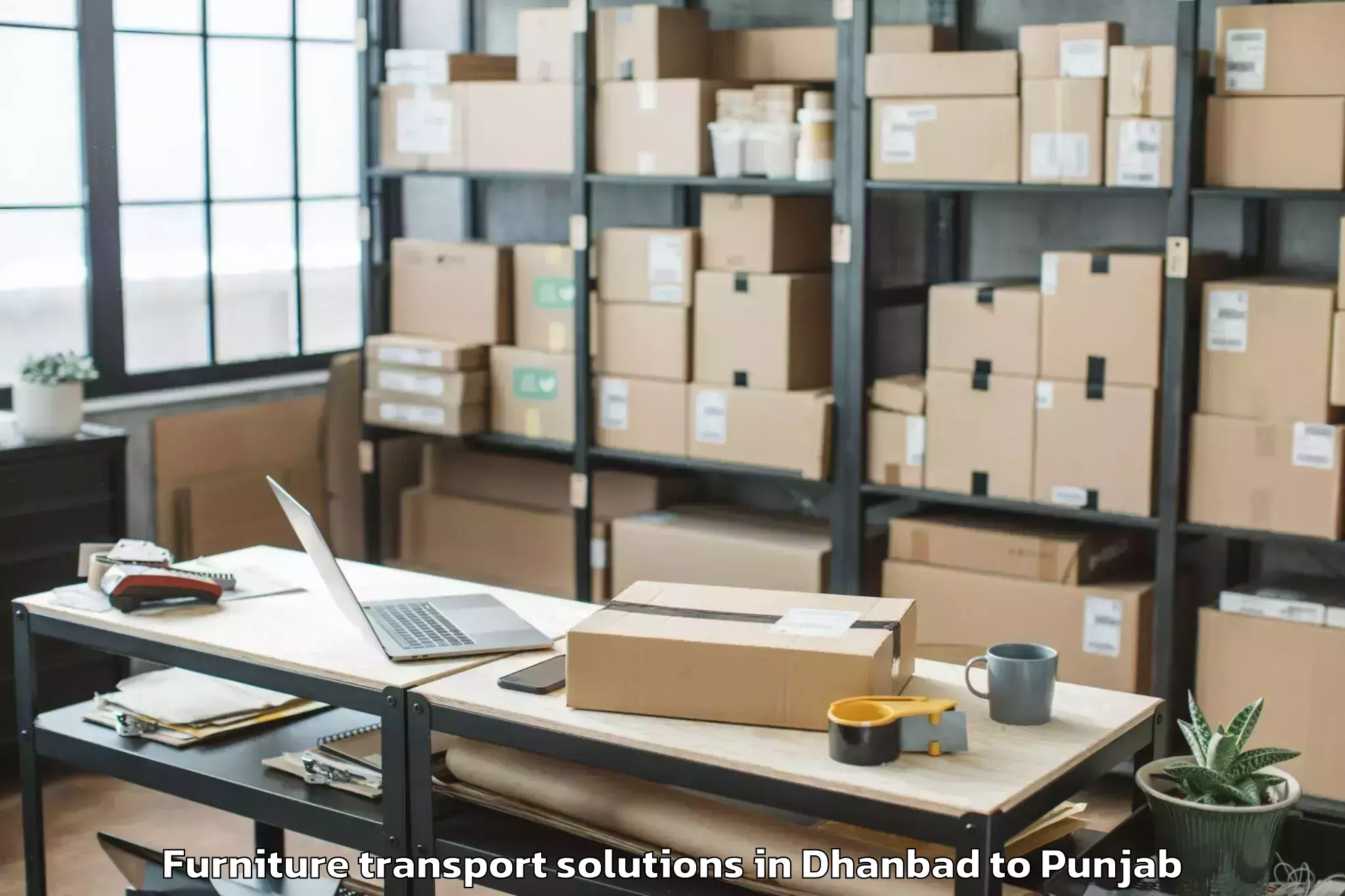 Quality Dhanbad to Ferozepore Furniture Transport Solutions